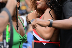 DSC_3884