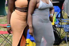 DSC_3924