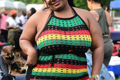 DSC_4233