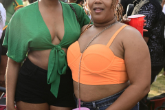 DSC_4293