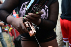 DSC_4412