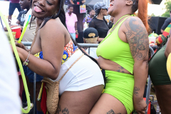 DSC_4437
