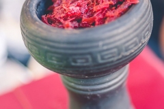 Igloo-19.01.20-DSC_4540