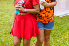 DSC3525