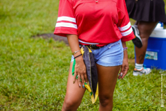DSC3541