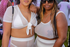 DSC9989