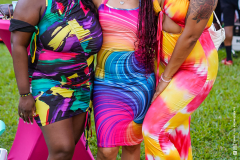 DSC8313
