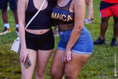 DSC8426