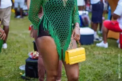 DSC0307