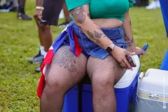 DSC0313