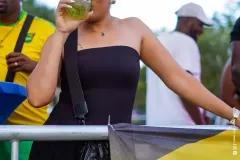 DSC0334