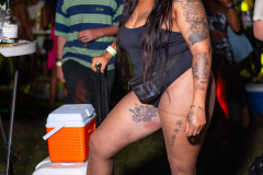 DSC_5384