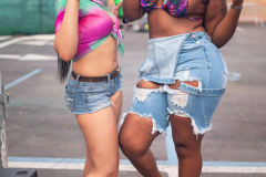 IGL_0043