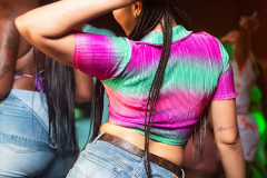 IGL_0331
